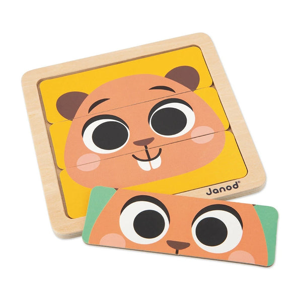 JANOD BOX 36 MESI