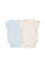 BAMBOOM BODY MEZZA MANICA 2PZ FISH MIX 144