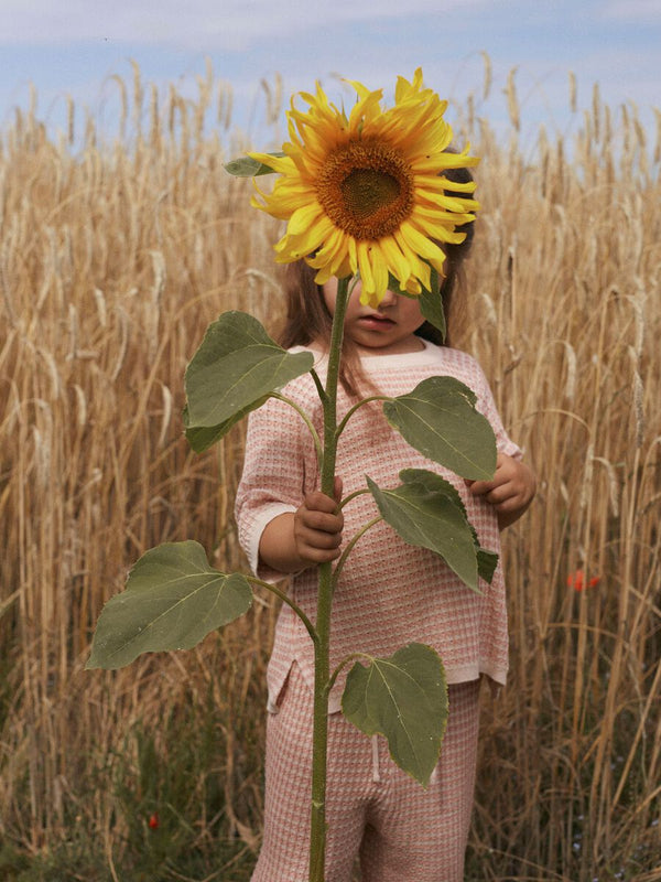LIL ATELIER MAGLIA KNIT MISTY ROSE