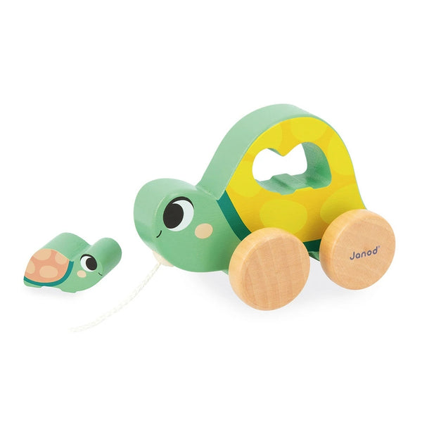 JANOD BOX 18 MESI