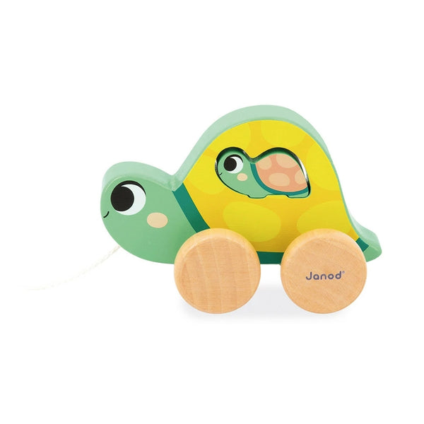 JANOD BOX 18 MESI