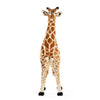 CHILDHOME GIRAFFA 135CM